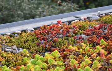 the cost of Marton Le Moor green roof installation