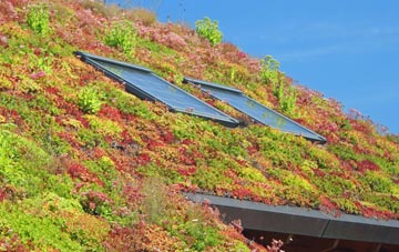 Marton Le Moor living roof systems
